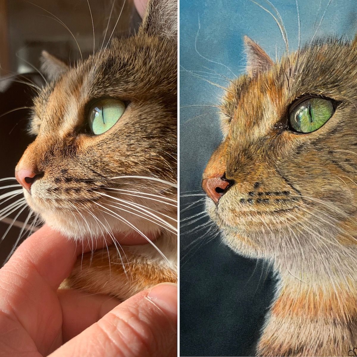 Foto versus tekening