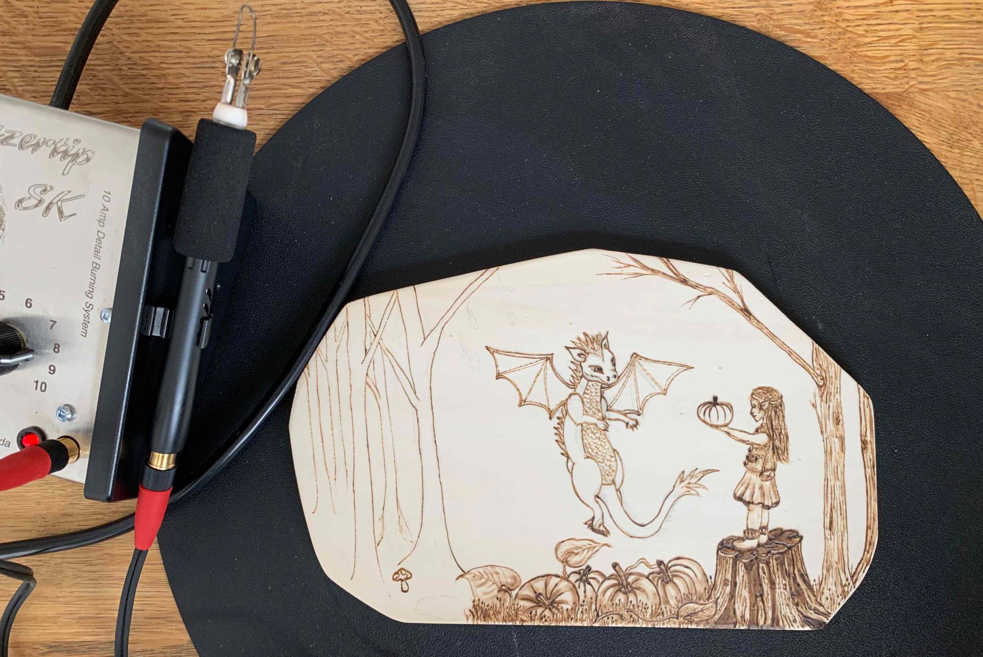 Pyrografie Draakjebos2