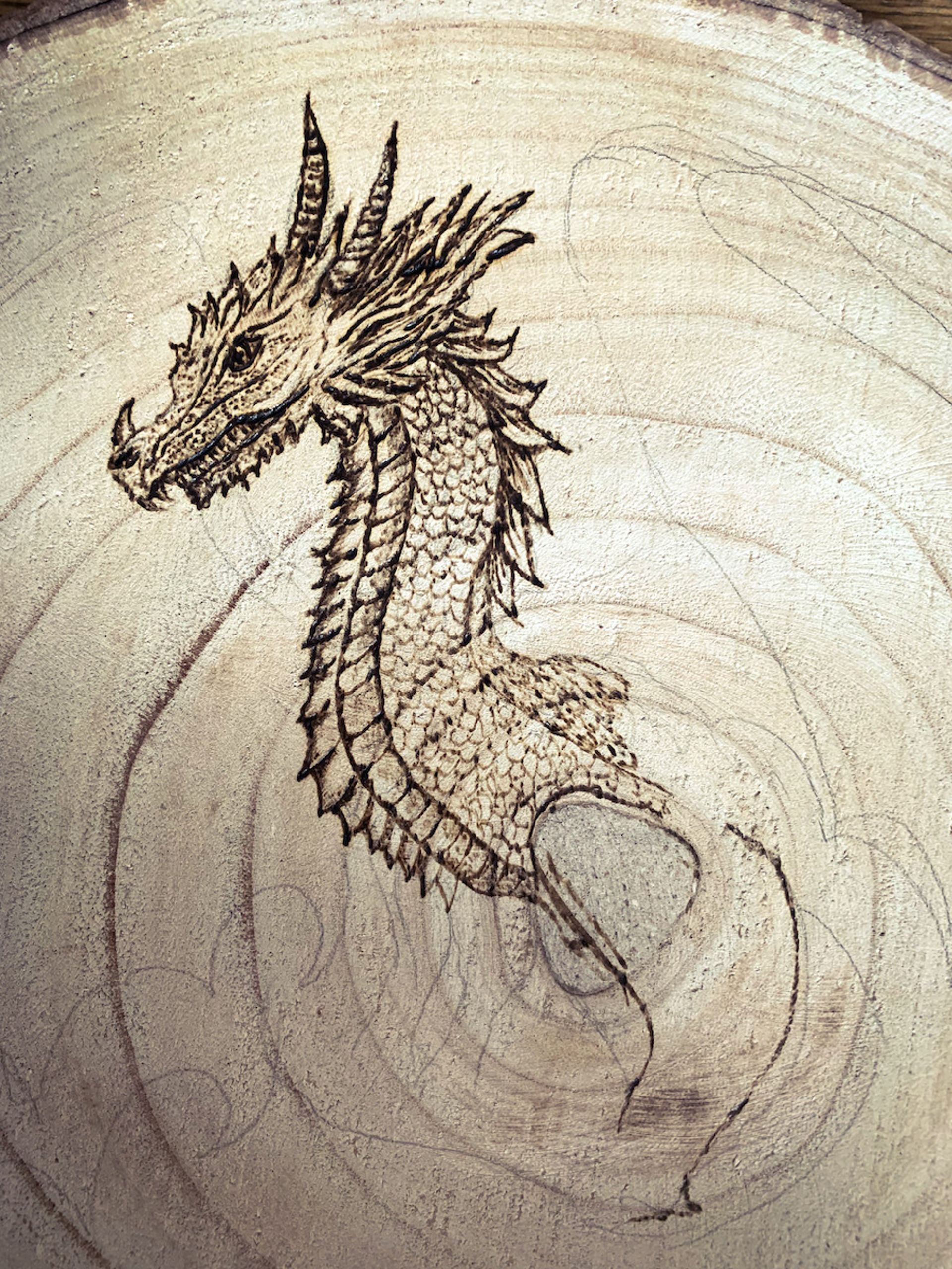 Pyrografie Draakprogress1